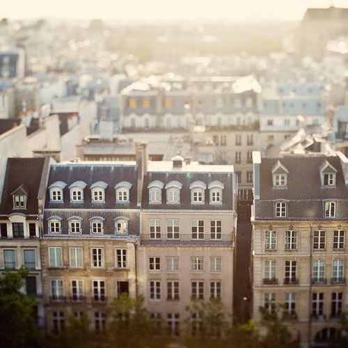 Aerial view of historical buildings in Paris with gray shingled roofs and stone facade