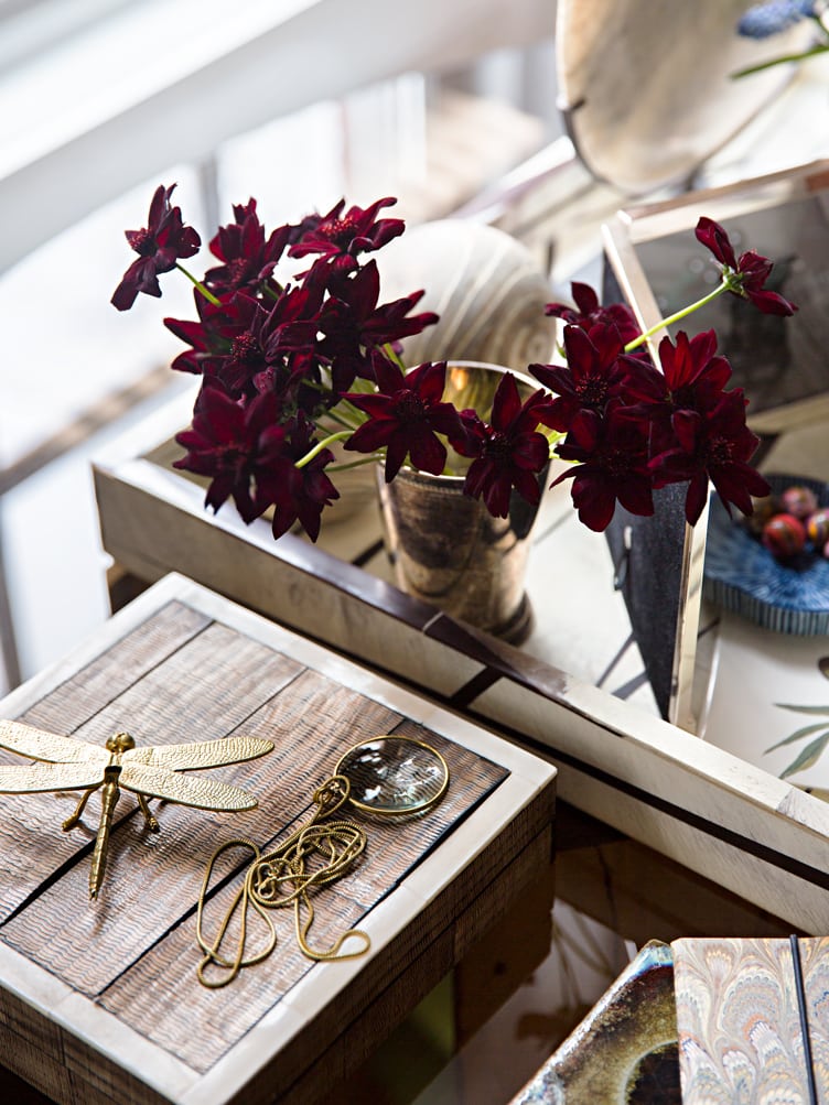 Coffee Table Decor of Brass Dragonfly and Gold Spy Glass. 