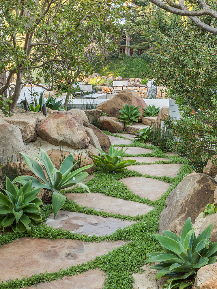 Stone walkway in California garden is surrounded by leafy plants and large rocks.